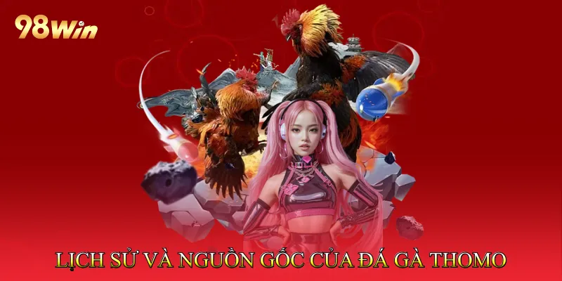 Lịch Sử Và Nguồn Gốc Của Đá Gà Thomo